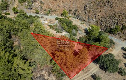 Datça Mesudiye Kızılbük koyunda 1.496,48m2 Tarla