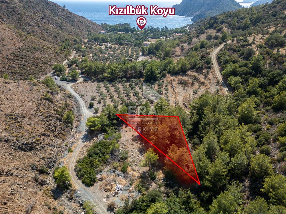 Datça Mesudiye Kızılbük koyunda 1.496,48m2 Tarla