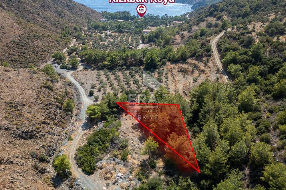 Datça Mesudiye Kızılbük koyunda 1.496,48m2 Tarla