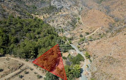 Datça Mesudiye Kızılbük koyunda 1.496,48m2 Tarla