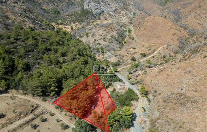 Datça Mesudiye Kızılbük koyunda 1.496,48m2 Tarla
