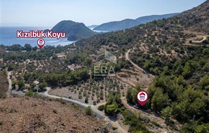 Datça Mesudiye Kızılbük koyunda 1.496,48m2 Tarla