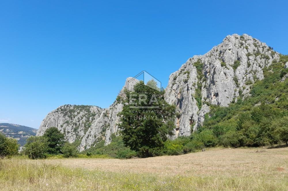 ERA KARAT SAKARYA GEYVE CECELER TREKKİNG ALANINDA SATILIK 2200 M2 TARLA