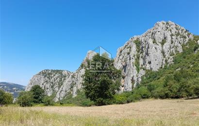 ERA KARAT SAKARYA GEYVE CECELER TREKKİNG ALANINDA SATILIK 2200 M2 TARLA