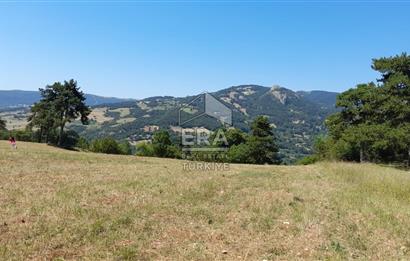ERA KARAT SAKARYA GEYVE CECELER TREKKİNG ALANINDA SATILIK 2200 M2 TARLA