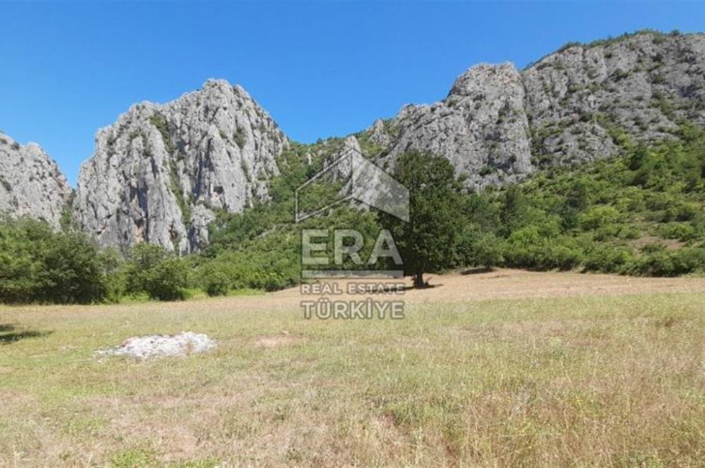 ERA KARAT SAKARYA GEYVE CECELER TREKKİNG ALANINDA SATILIK 2200 M2 TARLA