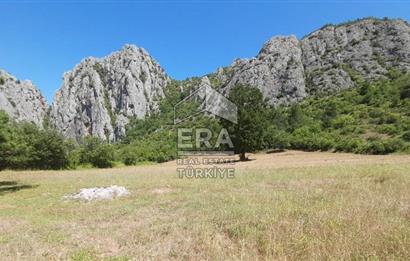 ERA KARAT SAKARYA GEYVE CECELER TREKKİNG ALANINDA SATILIK 2200 M2 TARLA