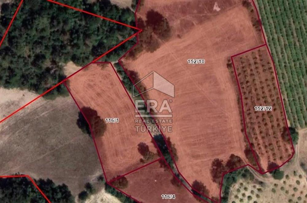 ERA KARAT SAKARYA GEYVE CECELER TREKKİNG ALANINDA SATILIK 2200 M2 TARLA
