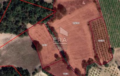 ERA KARAT SAKARYA GEYVE CECELER TREKKİNG ALANINDA SATILIK 2200 M2 TARLA