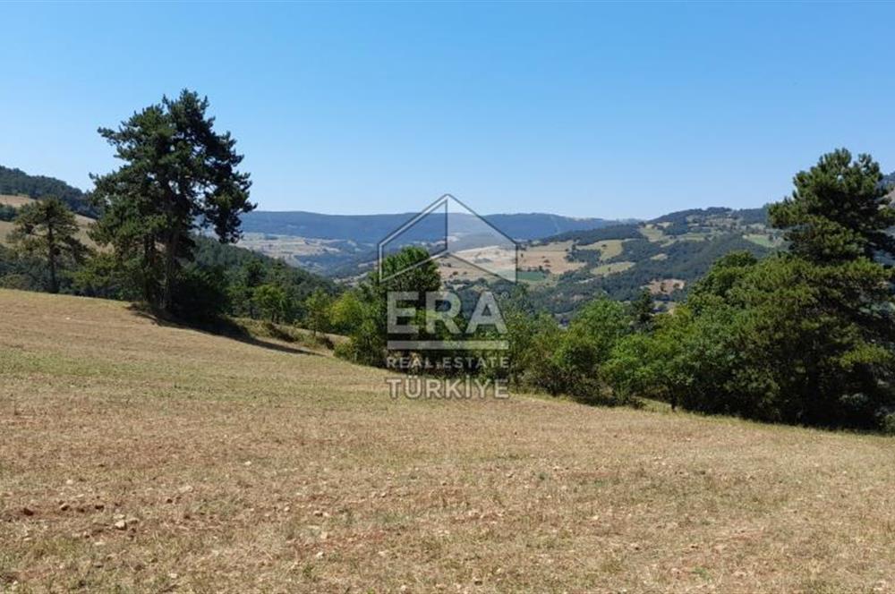 ERA KARAT SAKARYA GEYVE CECELER TREKKİNG ALANINDA SATILIK 2200 M2 TARLA