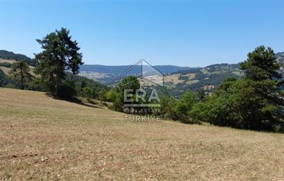 ERA KARAT SAKARYA GEYVE CECELER TREKKİNG ALANINDA SATILIK 2200 M2 TARLA