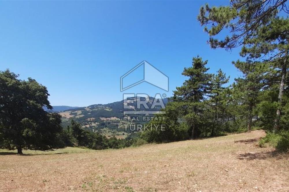 ERA KARAT SAKARYA GEYVE CECELER TREKKİNG ALANINDA SATILIK 2200 M2 TARLA