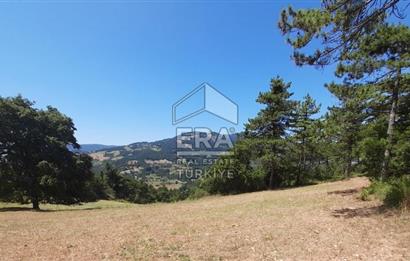 ERA KARAT SAKARYA GEYVE CECELER TREKKİNG ALANINDA SATILIK 2200 M2 TARLA