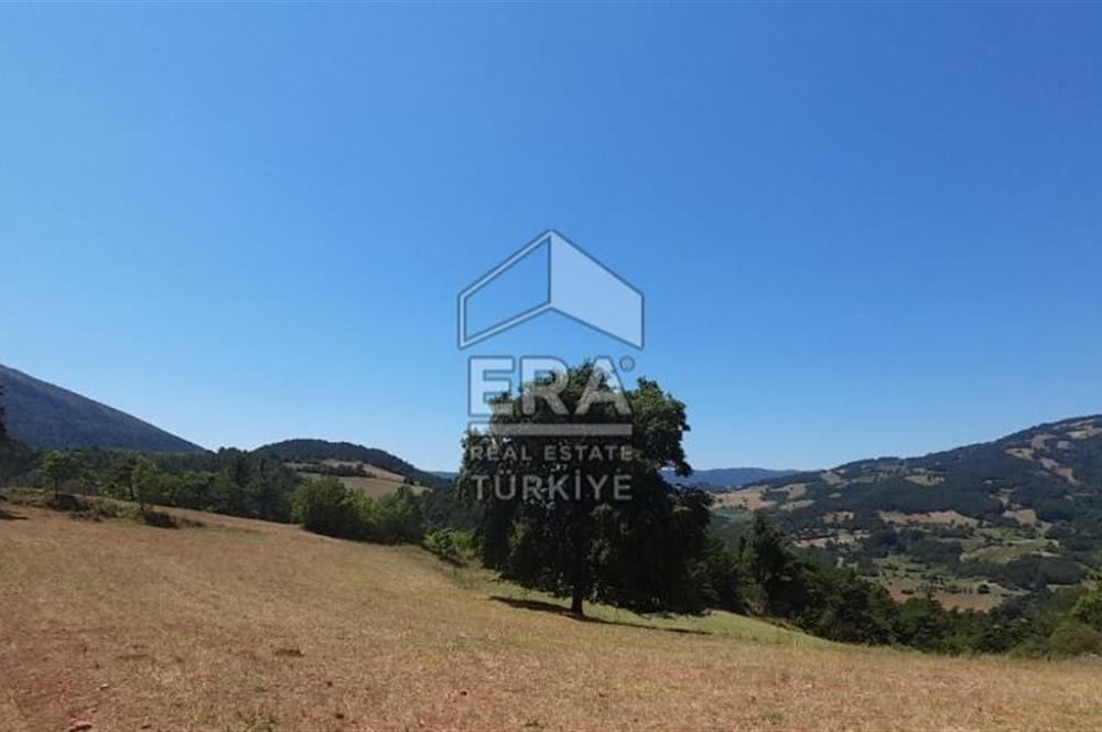 ERA KARAT SAKARYA GEYVE CECELER TREKKİNG ALANINDA SATILIK 2200 M2 TARLA