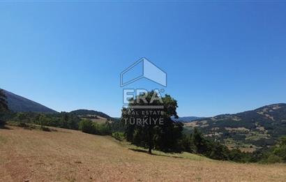 ERA KARAT SAKARYA GEYVE CECELER TREKKİNG ALANINDA SATILIK 2200 M2 TARLA