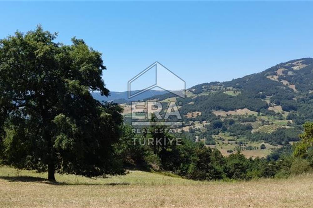 ERA KARAT SAKARYA GEYVE CECELER TREKKİNG ALANINDA SATILIK 2200 M2 TARLA