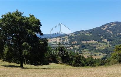 ERA KARAT SAKARYA GEYVE CECELER TREKKİNG ALANINDA SATILIK 2200 M2 TARLA
