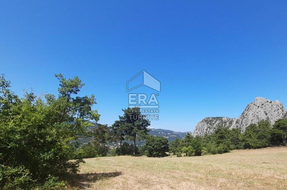 ERA KARAT SAKARYA GEYVE CECELER TREKKİNG ALANINDA SATILIK 2200 M2 TARLA