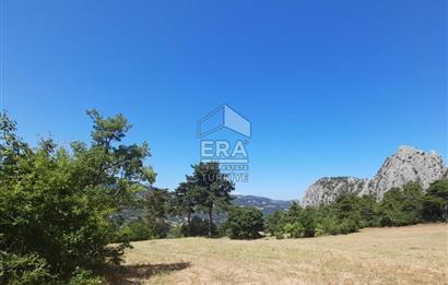 ERA KARAT SAKARYA GEYVE CECELER TREKKİNG ALANINDA SATILIK 2200 M2 TARLA