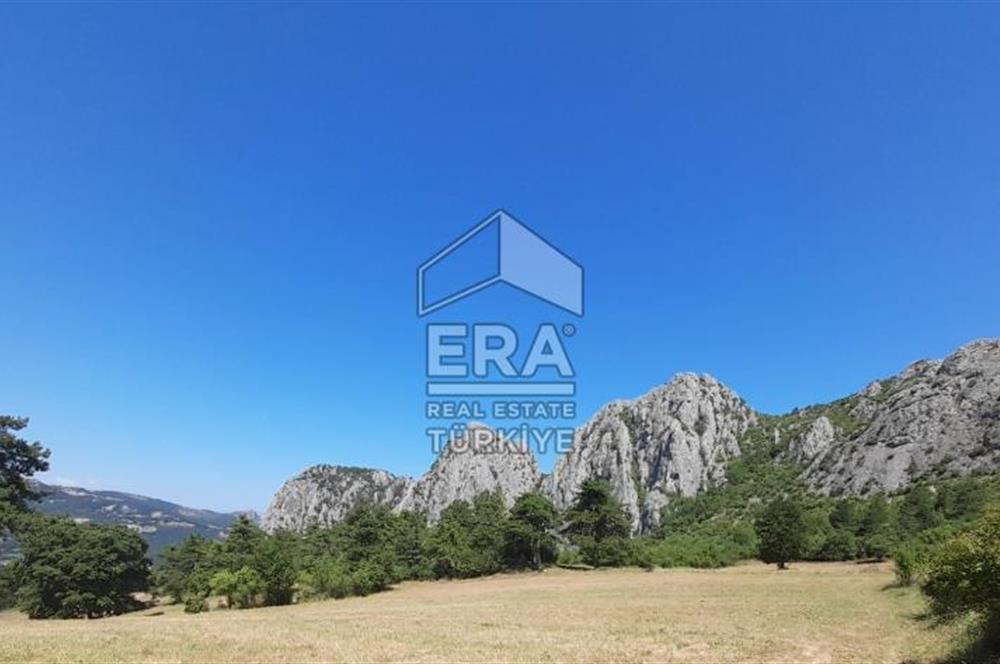 ERA KARAT SAKARYA GEYVE CECELER TREKKİNG ALANINDA SATILIK 2200 M2 TARLA