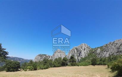 ERA KARAT SAKARYA GEYVE CECELER TREKKİNG ALANINDA SATILIK 2200 M2 TARLA