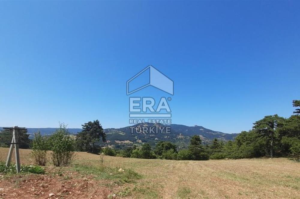 ERA KARAT SAKARYA GEYVE CECELER TREKKİNG ALANINDA SATILIK 2200 M2 TARLA