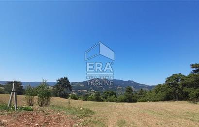 ERA KARAT SAKARYA GEYVE CECELER TREKKİNG ALANINDA SATILIK 2200 M2 TARLA