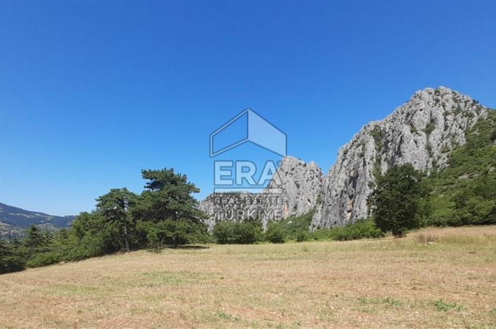 ERA KARAT SAKARYA GEYVE CECELER TREKKİNG ALANINDA SATILIK 2200 M2 TARLA