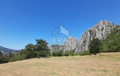ERA KARAT SAKARYA GEYVE CECELER TREKKİNG ALANINDA SATILIK 2200 M2 TARLA