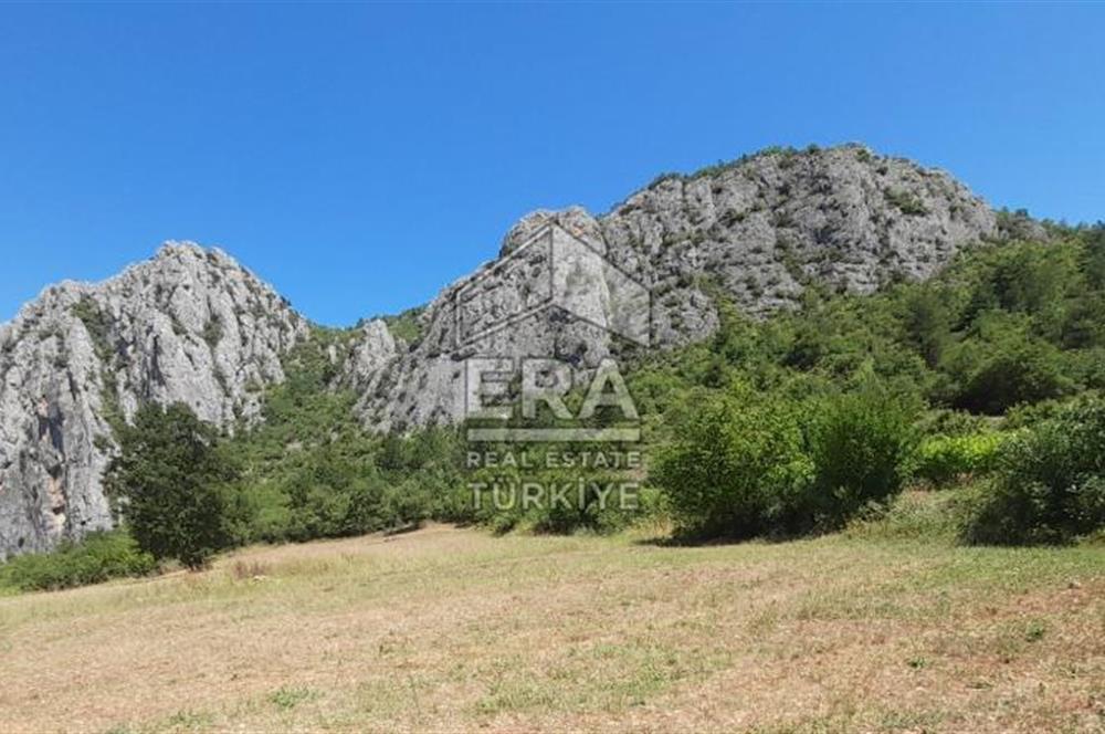 ERA KARAT SAKARYA GEYVE CECELER TREKKİNG ALANINDA SATILIK 2200 M2 TARLA