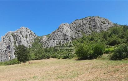 ERA KARAT SAKARYA GEYVE CECELER TREKKİNG ALANINDA SATILIK 2200 M2 TARLA