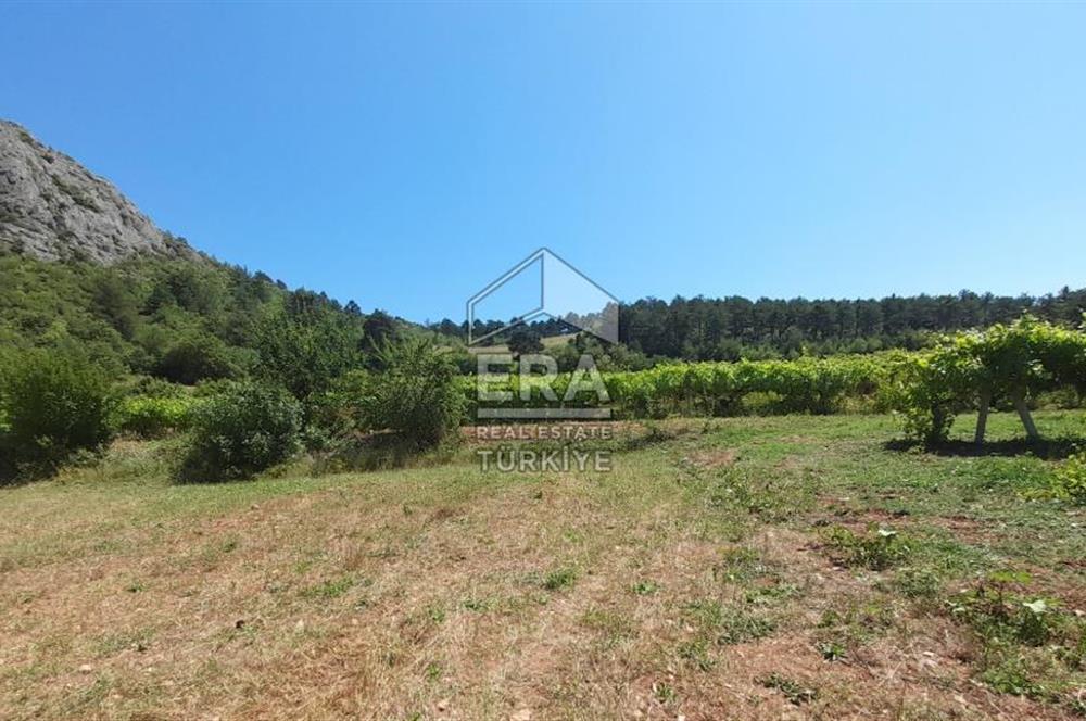 ERA KARAT SAKARYA GEYVE CECELER TREKKİNG ALANINDA SATILIK 2200 M2 TARLA