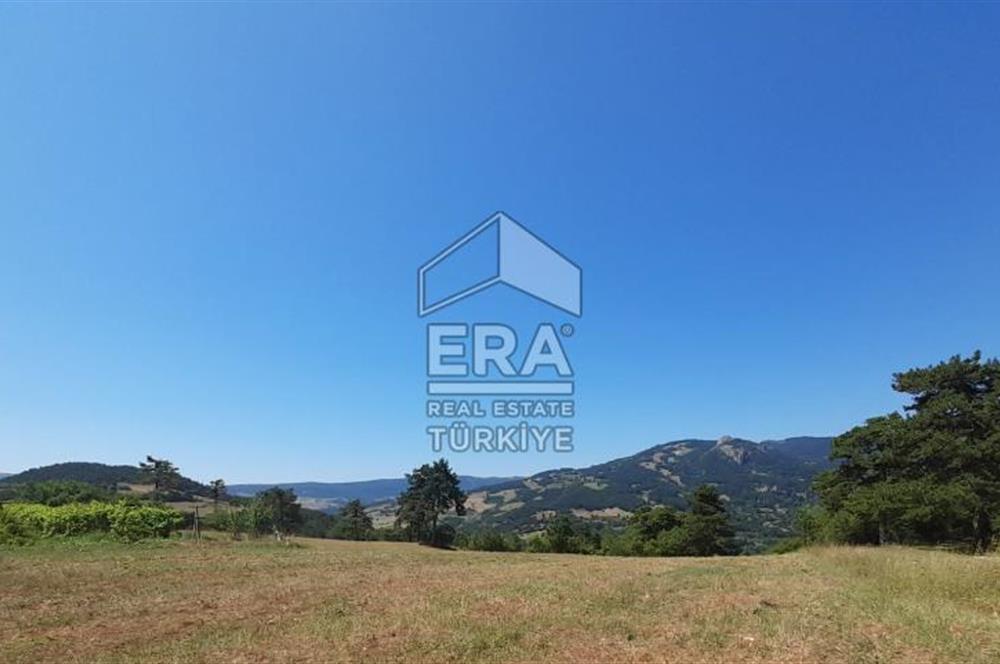 ERA KARAT SAKARYA GEYVE CECELER TREKKİNG ALANINDA SATILIK 2200 M2 TARLA