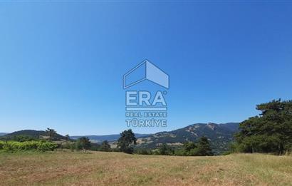 ERA KARAT SAKARYA GEYVE CECELER TREKKİNG ALANINDA SATILIK 2200 M2 TARLA