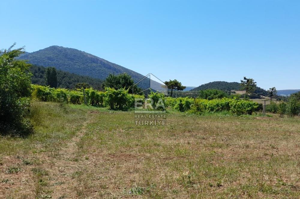 ERA KARAT SAKARYA GEYVE CECELER TREKKİNG ALANINDA SATILIK 2200 M2 TARLA