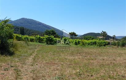 ERA KARAT SAKARYA GEYVE CECELER TREKKİNG ALANINDA SATILIK 2200 M2 TARLA