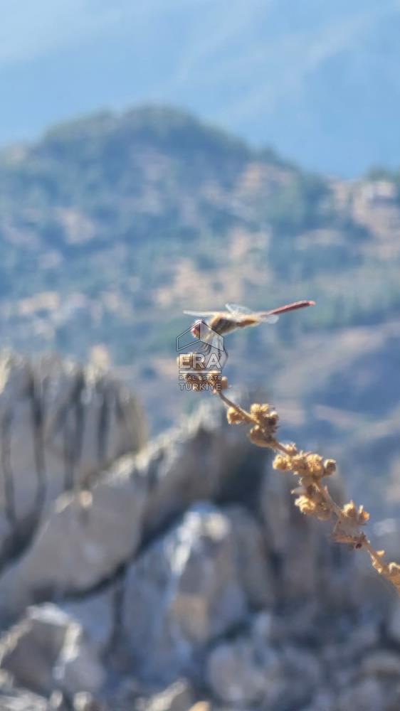 Datça Mesudiye'de Deniz Manzaralı Satılık 180 m2 Yaşam Alanı