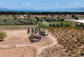 İznik Gölü Manzaralı 10.995m2 Tarla 