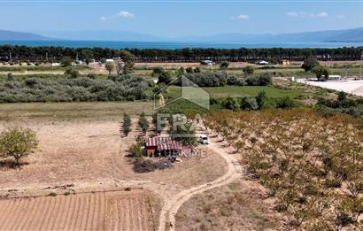 İznik Gölü Manzaralı 10.995m2 Tarla 