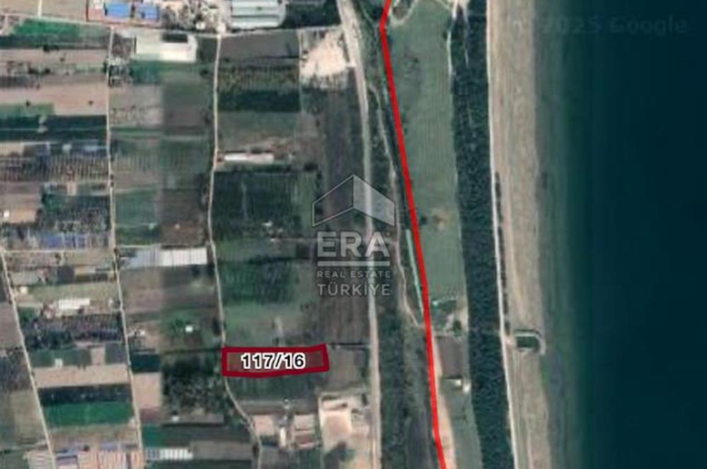 İznik Gölü Manzaralı 10.995m2 Tarla 