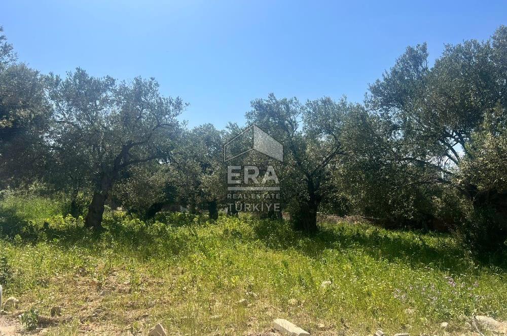 ERA ANGEL'DAN GÖMEÇ KARAAĞAÇ’TA YENİ EŞYALI, DOĞA MANZARALI 1+1 KİRALIK DAİRE