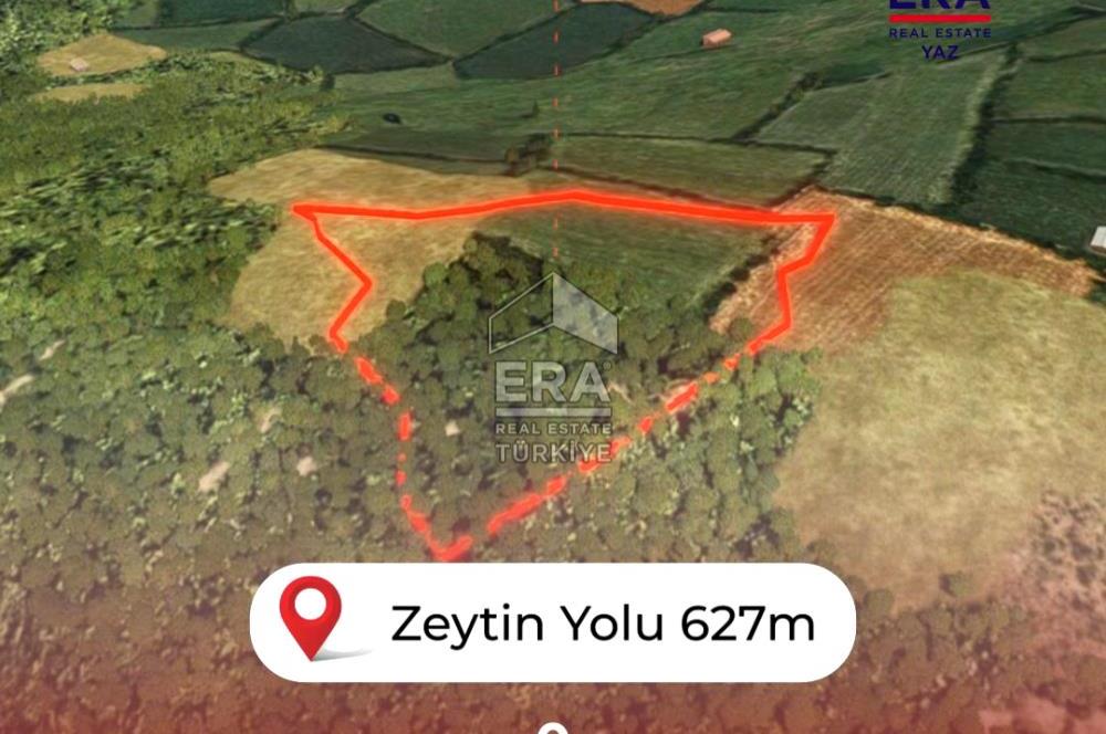 Muğla Zeytinköy SATILIK 13.920 m2 Tek Katlı Kargir Ev ve Tarla