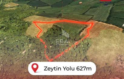 Muğla Zeytinköy SATILIK 13.920 m2 Tek Katlı Kargir Ev ve Tarla