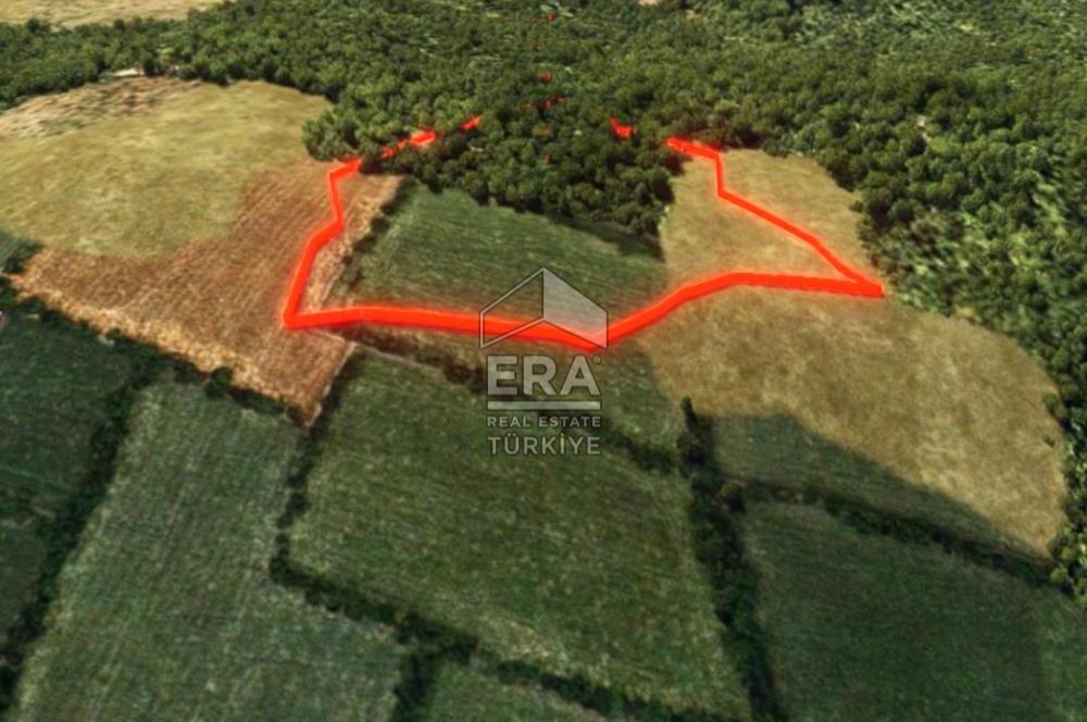 Muğla Zeytinköy SATILIK 13.920 m2 Tek Katlı Kargir Ev ve Tarla