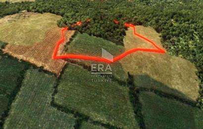 Muğla Zeytinköy SATILIK 13.920 m2 Tek Katlı Kargir Ev ve Tarla