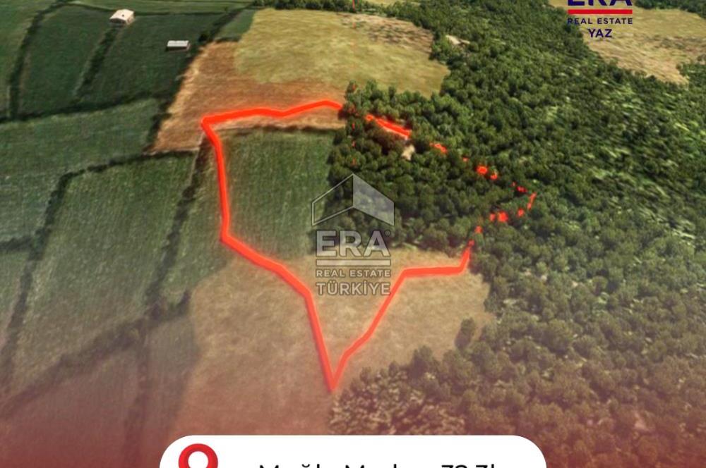 Muğla Zeytinköy SATILIK 13.920 m2 Tek Katlı Kargir Ev ve Tarla