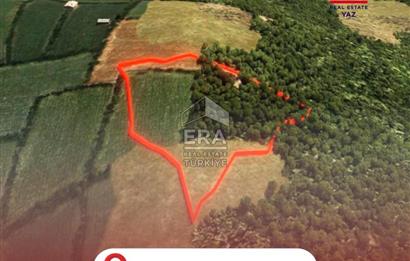 Muğla Zeytinköy SATILIK 13.920 m2 Tek Katlı Kargir Ev ve Tarla