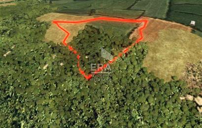 Muğla Zeytinköy SATILIK 13.920 m2 Tek Katlı Kargir Ev ve Tarla