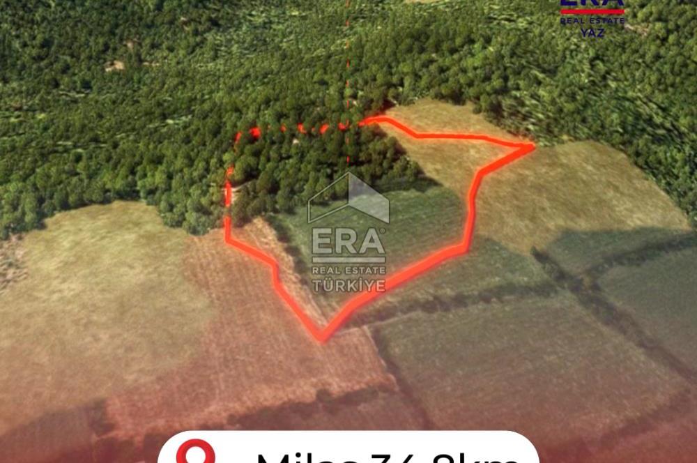 Muğla Zeytinköy SATILIK 13.920 m2 Tek Katlı Kargir Ev ve Tarla