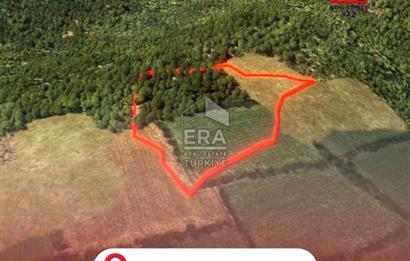 Muğla Zeytinköy SATILIK 13.920 m2 Tek Katlı Kargir Ev ve Tarla
